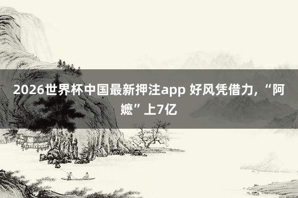 2026世界杯中国最新押注app 好风凭借力， “阿嬷”上7亿
