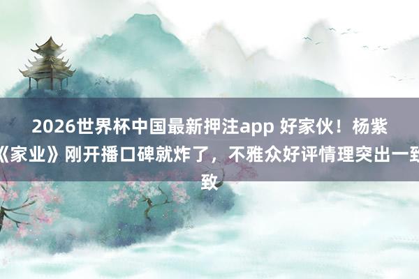 2026世界杯中国最新押注app 好家伙！杨紫《家业》刚开播口碑就炸了，不雅众好评情理突出一致