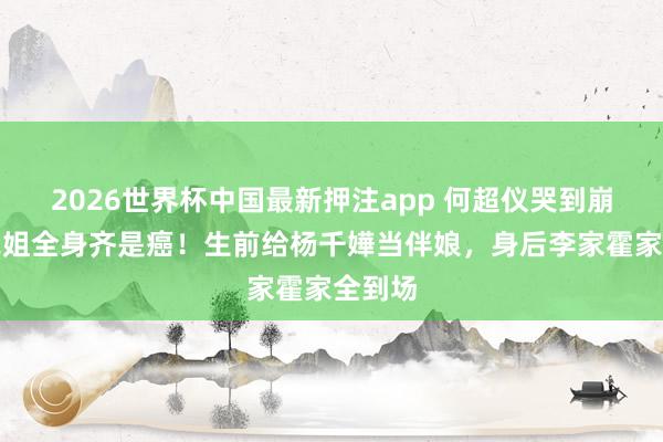 2026世界杯中国最新押注app 何超仪哭到崩溃：我姐全身齐是癌！生前给杨千嬅当伴娘，身后李家霍家全到场