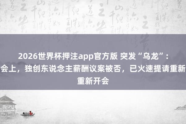 2026世界杯押注app官方版 突发“乌龙”：推进会上，独创东说念主薪酬议案被否，已火速提请重新开会