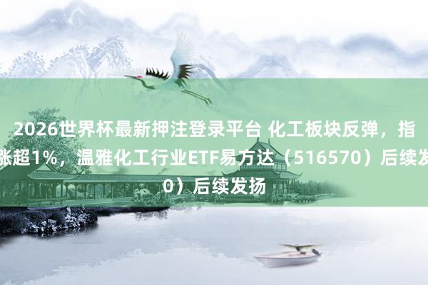 2026世界杯最新押注登录平台 化工板块反弹，指数涨超1%，温雅化工行业ETF易方达（516570）后续发扬