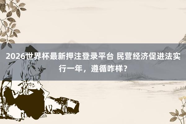 2026世界杯最新押注登录平台 民营经济促进法实行一年，遵循咋样？