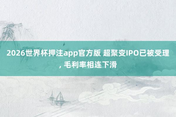 2026世界杯押注app官方版 超聚变IPO已被受理， 毛利率相连下滑