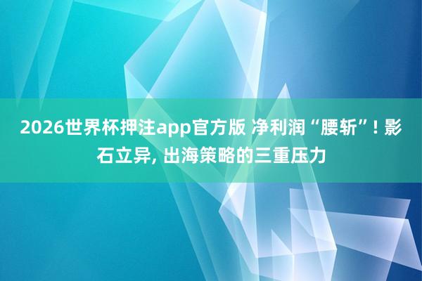 2026世界杯押注app官方版 净利润“腰斩”! 影石立异， 出海策略的三重压力