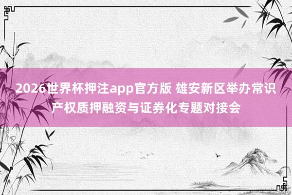 2026世界杯押注app官方版 雄安新区举办常识产权质押融资与证券化专题对接会