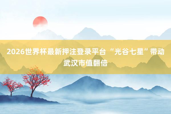 2026世界杯最新押注登录平台 “光谷七星”带动武汉市值翻倍