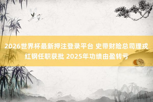 2026世界杯最新押注登录平台 史带财险总司理戎红钢任职获批 2025年功绩由盈转亏