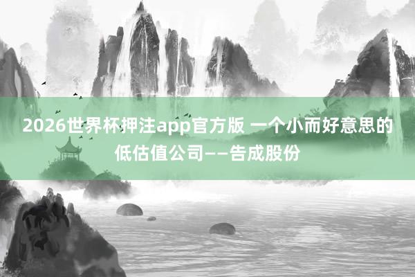 2026世界杯押注app官方版 一个小而好意思的低估值公司——告成股份