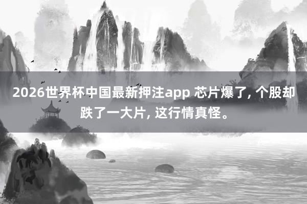 2026世界杯中国最新押注app 芯片爆了， 个股却跌了一大片， 这行情真怪。