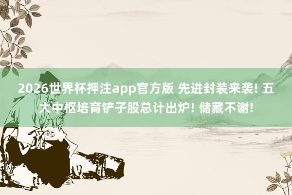 2026世界杯押注app官方版 先进封装来袭! 五大中枢培育铲子股总计出炉! 储藏不谢!
