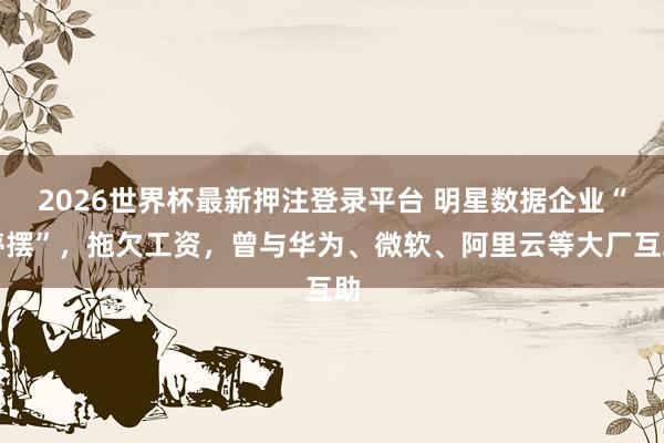 2026世界杯最新押注登录平台 明星数据企业“停摆”，拖欠工资，曾与华为、微软、阿里云等大厂互助