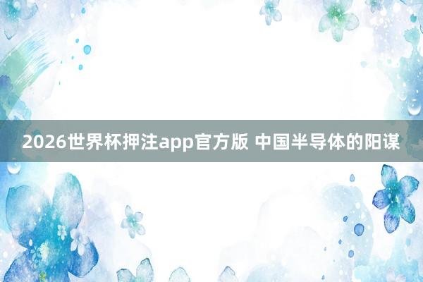 2026世界杯押注app官方版 中国半导体的阳谋