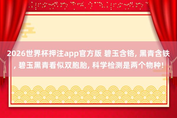 2026世界杯押注app官方版 碧玉含铬， 黑青含铁， 碧玉黑青看似双胞胎， 科学检测是两个物种!