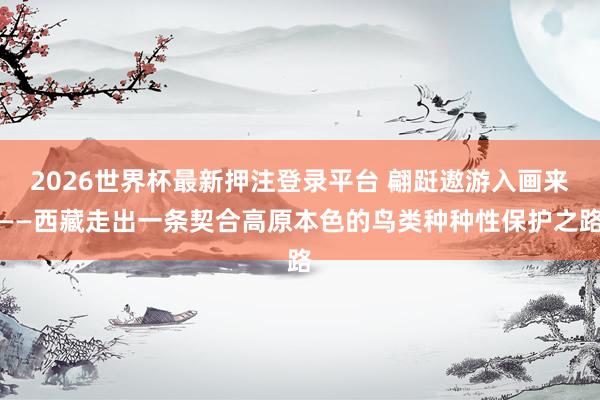 2026世界杯最新押注登录平台 翩跹遨游入画来——西藏走出一条契合高原本色的鸟类种种性保护之路