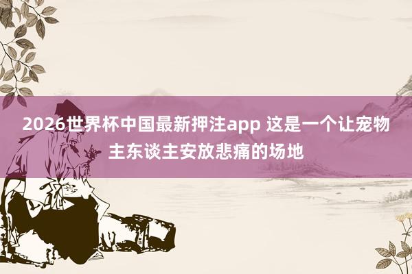 2026世界杯中国最新押注app 这是一个让宠物主东谈主安放悲痛的场地