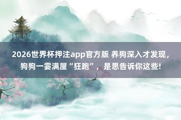 2026世界杯押注app官方版 养狗深入才发现，狗狗一霎满屋“狂跑”，是思告诉你这些!