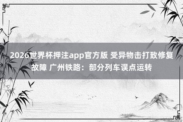 2026世界杯押注app官方版 受异物击打致修复故障 广州铁路：部分列车误点运转