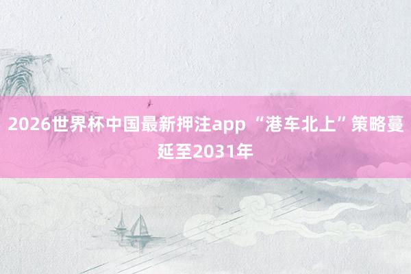 2026世界杯中国最新押注app “港车北上”策略蔓延至2031年