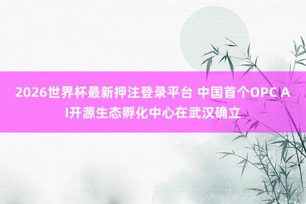 2026世界杯最新押注登录平台 中国首个OPC AI开源生态孵化中心在武汉确立
