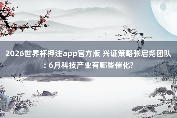 2026世界杯押注app官方版 兴证策略张启尧团队: 6月科技产业有哪些催化?