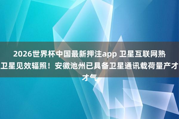 2026世界杯中国最新押注app 卫星互联网熟练卫星见效辐照！安徽池州已具备卫星通讯载荷量产才气