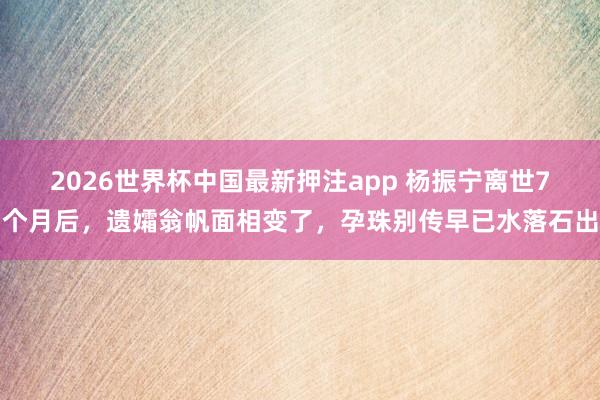 2026世界杯中国最新押注app 杨振宁离世7个月后，遗孀翁帆面相变了，孕珠别传早已水落石出