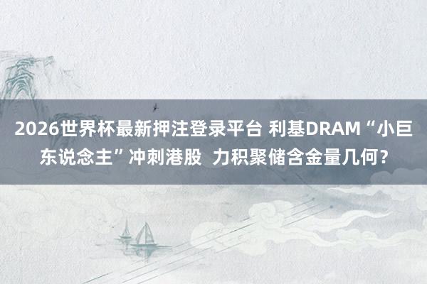 2026世界杯最新押注登录平台 利基DRAM“小巨东说念主”冲刺港股  力积聚储含金量几何？