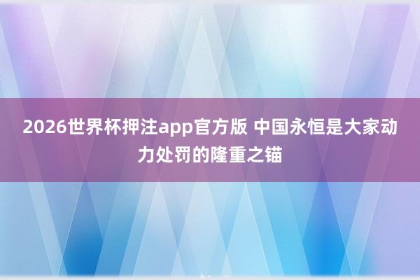 2026世界杯押注app官方版 中国永恒是大家动力处罚的隆重之锚