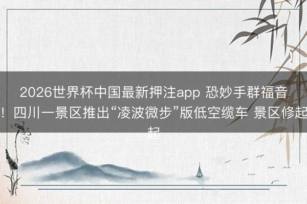 2026世界杯中国最新押注app 恐妙手群福音！四川一景区推出“凌波微步”版低空缆车 景区修起