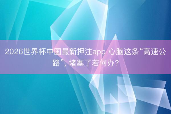 2026世界杯中国最新押注app 心脑这条“高速公路”， 堵塞了若何办?